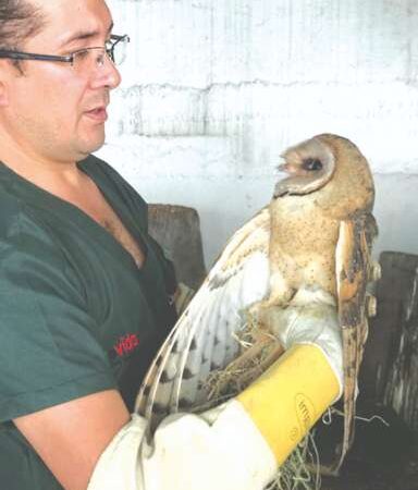 Latacunga cuenta con una clínica para especies rescatadas
