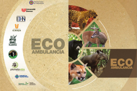 Eco–Ambulancia